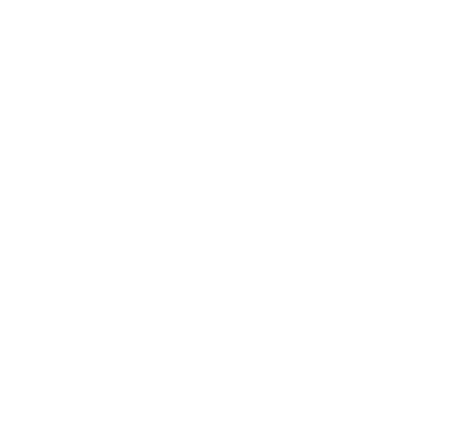 logo barreto 1 (1)